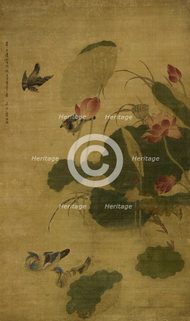 Birds and lotus, 1701. Creator: Jiang Tingxi.