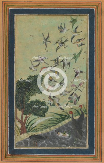 Birds at Baran, possibly from the Babur-nama, late 16th century. Creator: Unknown.