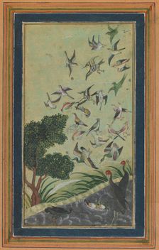 Birds at Baran, possibly from the Babur-nama, late 16th century. Creator: Unknown