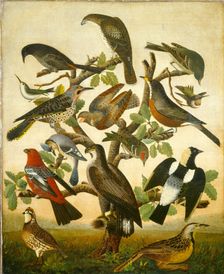 Birds, c. 1840. Creator: Unknown