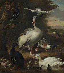 Birds, c1660-1695. Creator: Melchior d'Hondecoeter