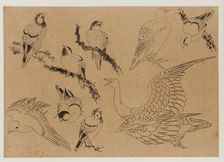 Birds, Edo period, late 18th-early 19th century. Creator: Hokusai