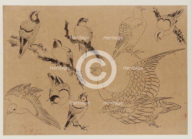 Birds, Edo period, late 18th-early 19th century. Creator: Hokusai.
