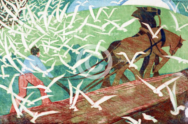 Birds following a plough, 1933. Creator: Ethel Louise Spowers.