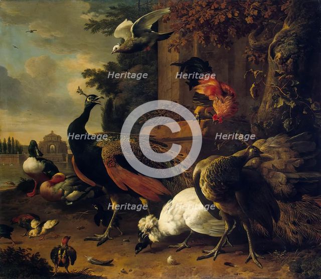 Birds in a Park, 1686. Creator: Melchior d'Hondecoeter.