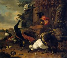 Birds in a Park, 1686. Creator: Melchior d'Hondecoeter