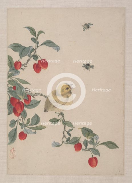 Birds, Insects and Flowers, 19th century. Creator: Yi Zhai.