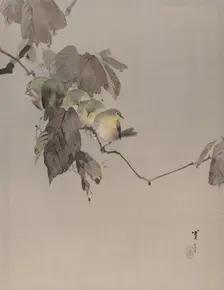 Birds on a Branch, ca. 1887. Creator: Watanabe Seitei