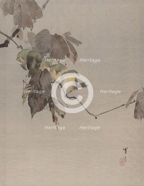 Birds on a Branch, ca. 1887. Creator: Watanabe Seitei.