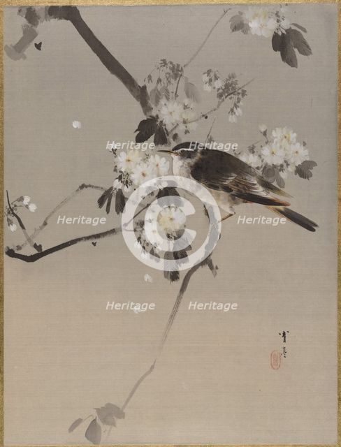 Birds on a Flowering Branch.