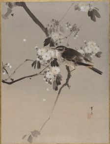 Birds on a Flowering Branch