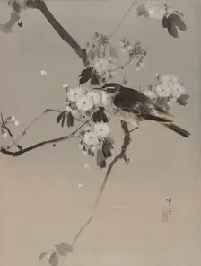 Birds on a Flowering Branch, ca. 1887. Creator: Watanabe Seitei