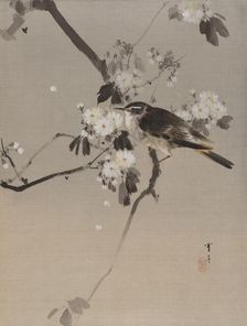 Birds on a Flowering Branch, ca. 1887. Creator: Watanabe Seitei