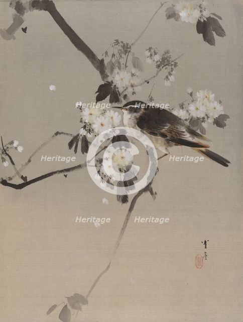 Birds on a Flowering Branch, ca. 1887. Creator: Watanabe Seitei.