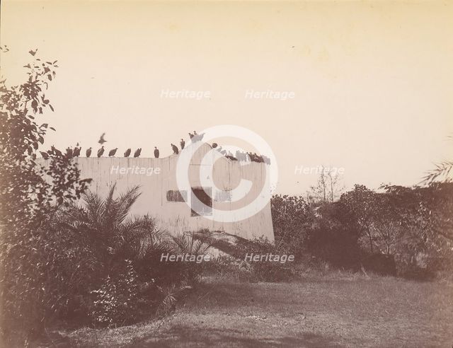 Birds on Roof of Small Building, 1860s-70s. Creator: Unknown.