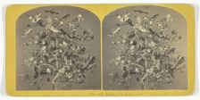 Birds of New England, 1855/75. Creators: Kilburn Brothers, BW Kilburn