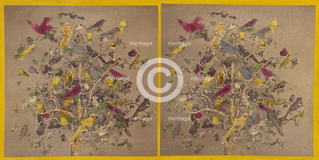 Birds of New England, about 1865. Creator: Benjamin West Kilburn.