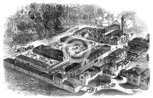 Birdseye view of the late Prince Consort's model farm at Windsor, 1862. Creator: Unknown.