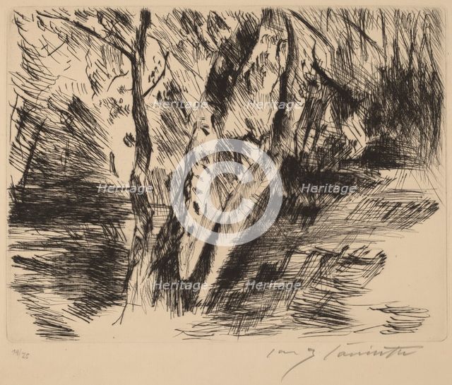 Birkenstämme im Tiergarten (Birch Trees in the Tiergarten), 1920-1921. Creator: Lovis Corinth.