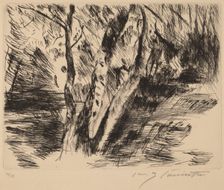 Birkenstämme im Tiergarten (Birch Trees in the Tiergarten), 1920-1921. Creator: Lovis Corinth