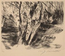 Birkenstämme im Tiergarten (Birch Trees in the Tiergarten), 1920-1921. Creator: Lovis Corinth