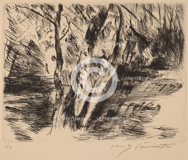 Birkenstämme im Tiergarten (Birch Trees in the Tiergarten), 1920-1921. Creator: Lovis Corinth.