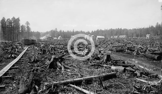 Birth of a city, Davis, W. Va. in 1885, c1885. Creator: William H. Jackson.