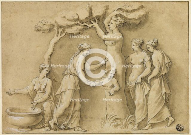 Birth of Adonis, n.d. Creator: Unknown.