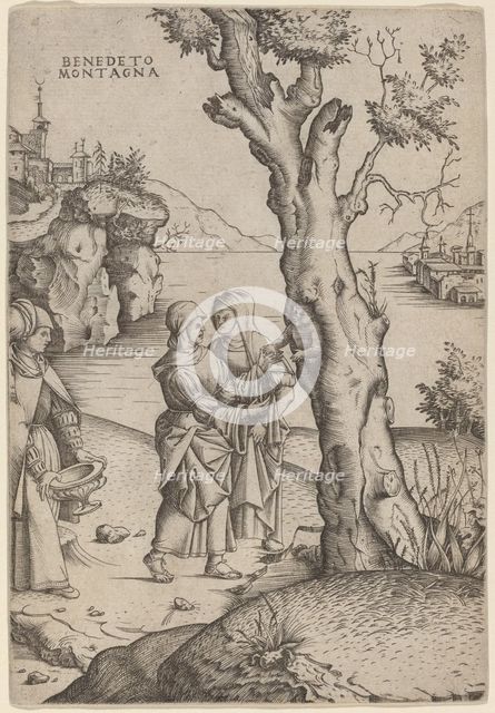 Birth of Adonis, c. 1515/1520. Creator: Benedetto Montagna.