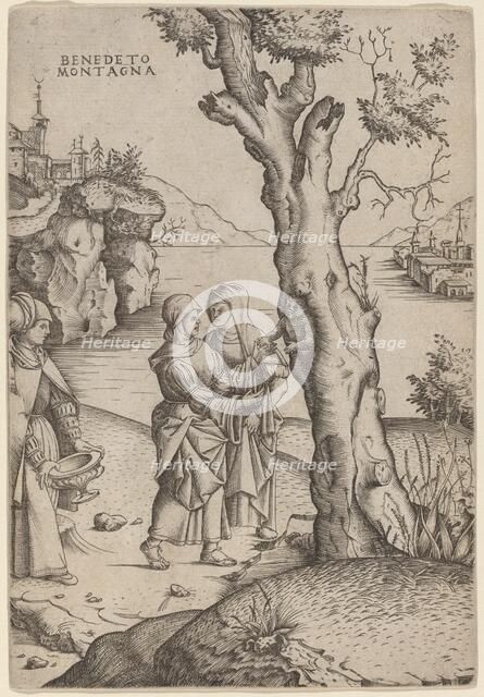 Birth of Adonis, c. 1515/1520. Creator: Benedetto Montagna.