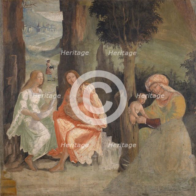 Birth of Adonis, c1517-1518. Creator: Ferramola, Floriano (Fioravante) (c. 1478-1528).