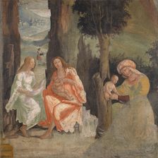 Birth of Adonis, c1517-1518. Creator: Ferramola, Floriano (Fioravante) (c. 1478-1528)