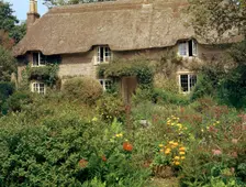 Birthplace of Thomas Hardy, 19th century