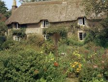 Birthplace of Thomas Hardy, 19th century