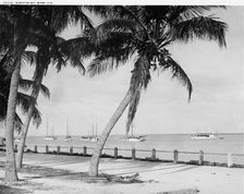 Biscayne Bay, Miami, Fla., c.between 1910 and 1920. Creator: William H. Jackson