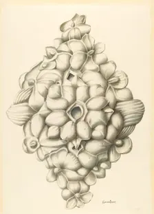 Bishop Hill: Ceiling Decoration, 1939. Creator: H. Langden Brown