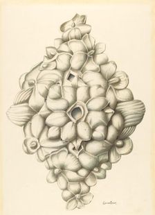 Bishop Hill: Ceiling Decoration, 1939. Creator: H. Langden Brown