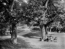 Bisham, Berkshire, 1885. Artist: Henry Taunt