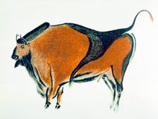 Bison, copy of a Palaeolithic cave painting at Altamira, northern Spain, 1913