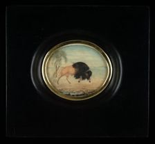 Bisonte con palmeras (Bison with Palm Trees), ca. 1825-1850. Creator: Goyena family