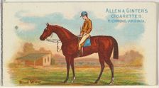 Blue Wing, from The World's Racers series (N32) for Allen & Ginter Cigarettes, 1888. Creator: Allen & Ginter