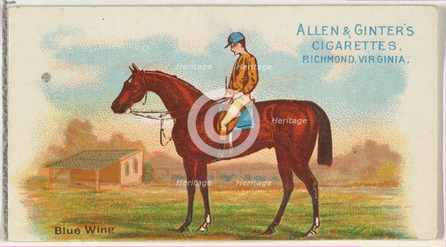 Blue Wing, from The World's Racers series (N32) for Allen & Ginter Cigarettes, 1888. Creator: Allen & Ginter.