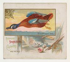 Blue Winged Teal, from the Game Birds series (N40) for Allen & Ginter Cigarettes, 1888-90. Creator: Allen & Ginter