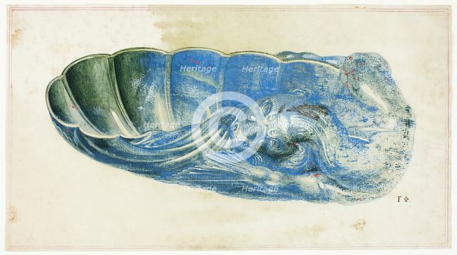 Blue and Green Shell with Dragon's Head, n.d. Creator: Giuseppe Grisoni.