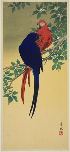 Blue and Red Macaws, n.d. Creator: Shunko