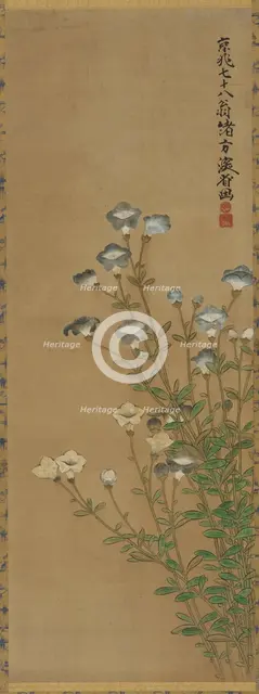Blue and white flowers on slender stalks, Edo period, 18th-19th century. Creators: Ogata Kenzan, Unknown.