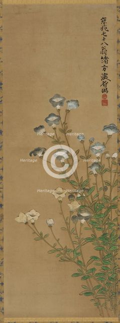 Blue and white flowers on slender stalks, Edo period, 18th-19th century. Creators: Ogata Kenzan, Unknown.
