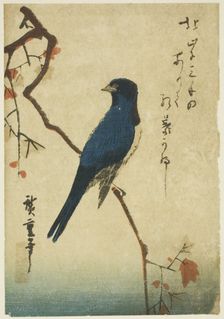 Blue bird on maple branch, n.d. Creator: Ando Hiroshige
