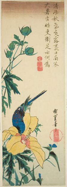 Blue bird and hibiscus, 1830s. Creator: Ando Hiroshige