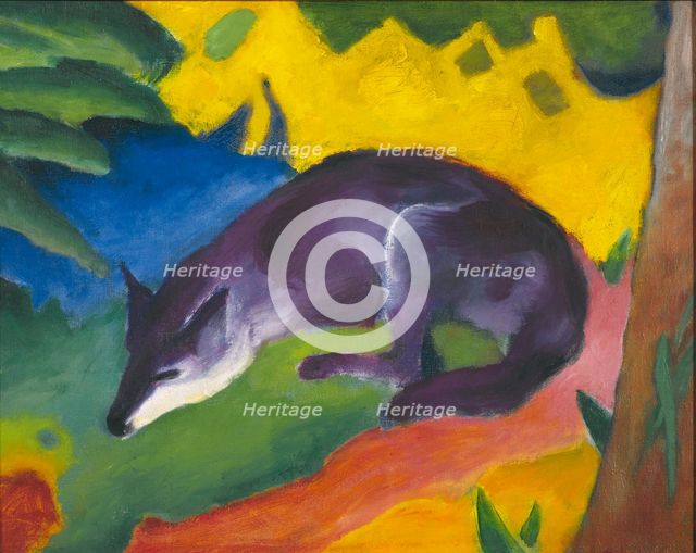 Blue-Black Fox, 1911.
